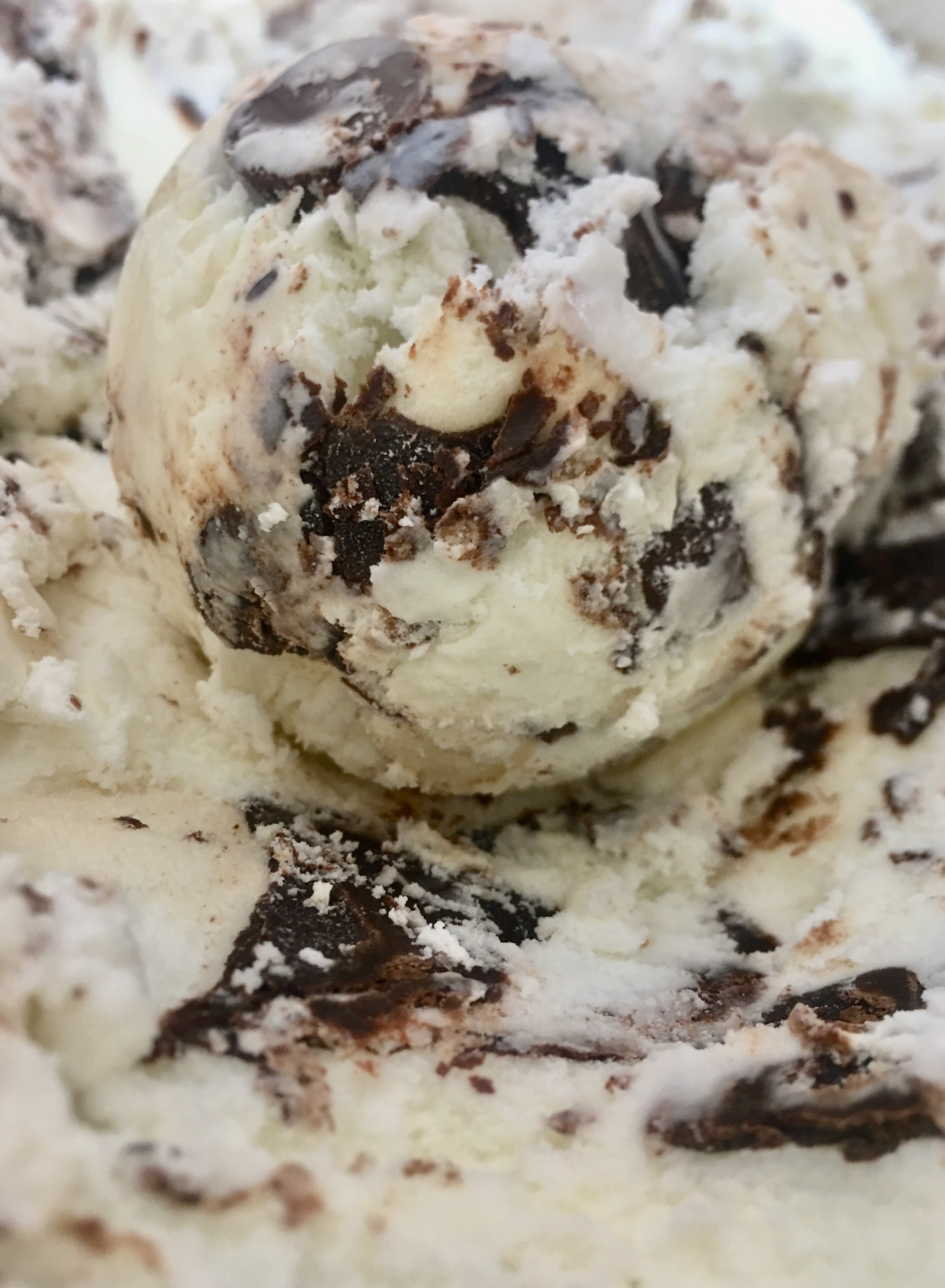 Moose Tracks