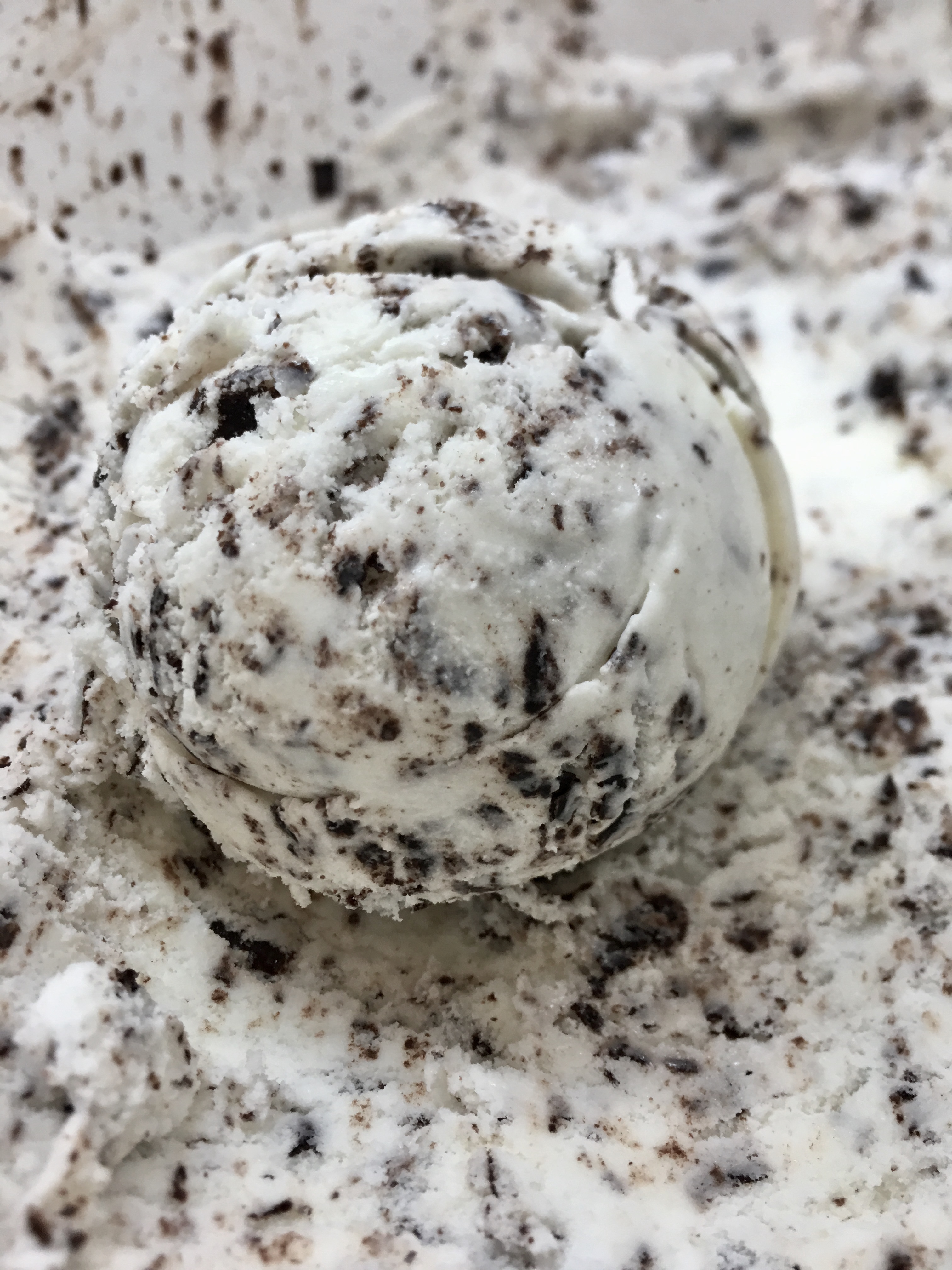 Chocolate Chip