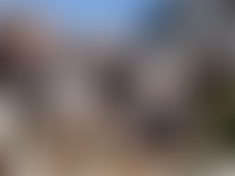 American Heritage Schools Conducts National Job Search on Oct. 16