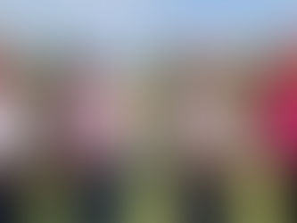 Four Claim Victory at Senior Two-Man Shoot-Out