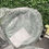 Thumbnail: Antique Garden Bird Bath & Solar Fountain | Outdoor Green(C07)