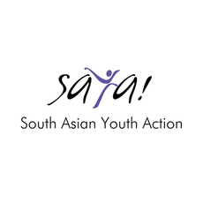 The Red Curtain Project featured on South Asian Youth Action's blog.