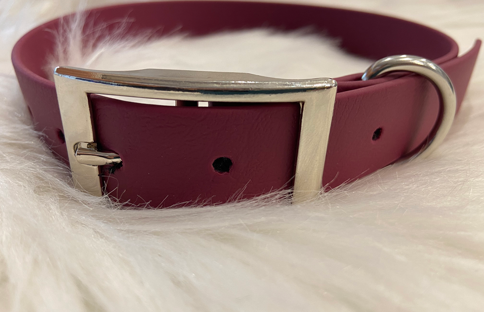 Collare regolabile Classic Wine Red con finiture argento.