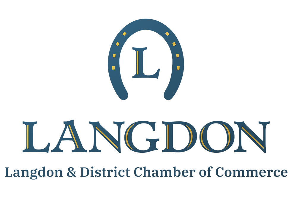 LDCC_Logo_Transparent 2.png