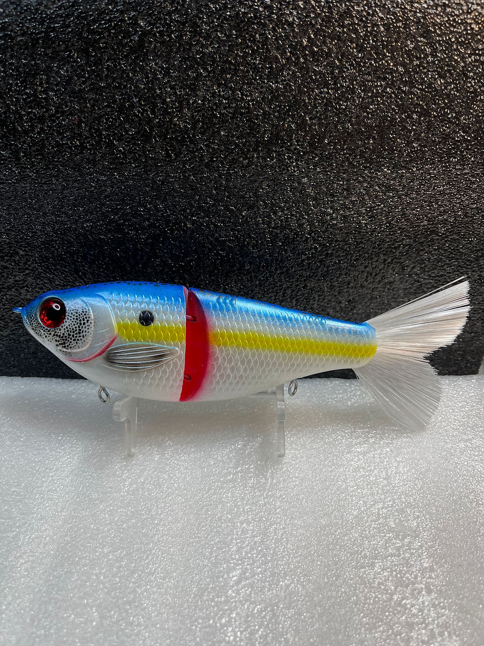 Thumbnail: Big Belly Shad