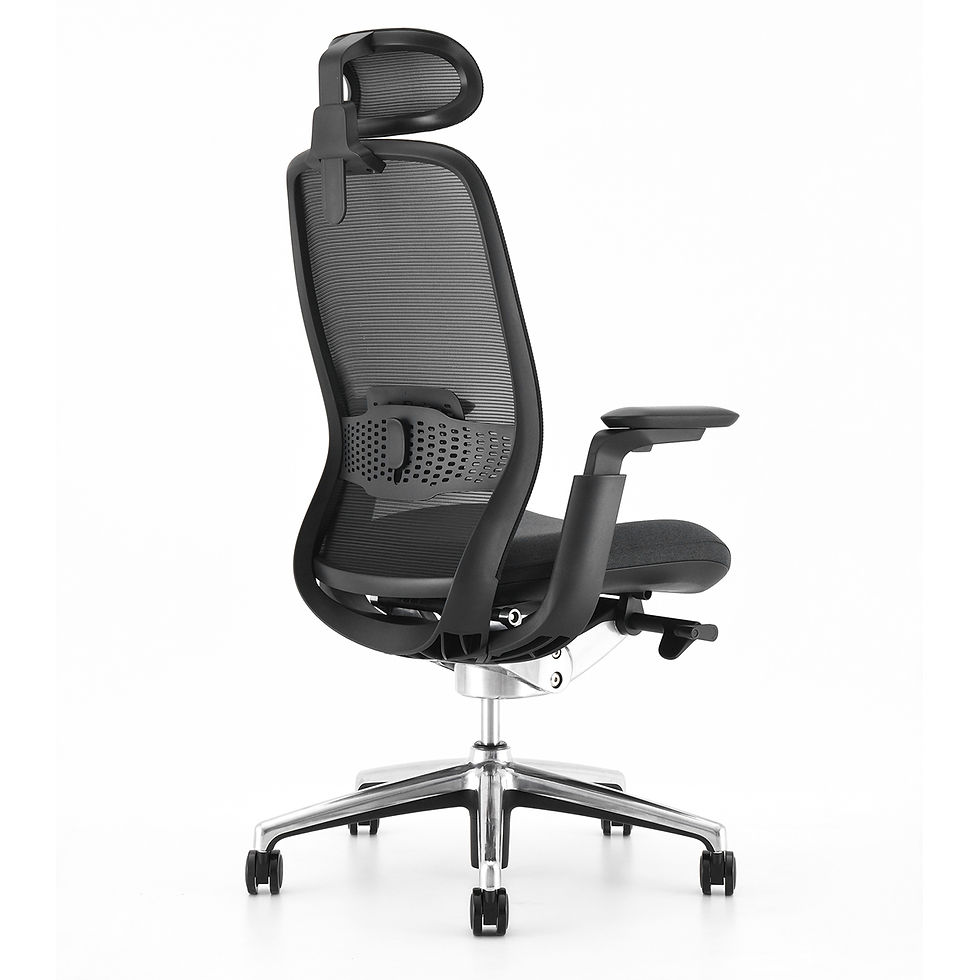 Miniature : Fauteuil Synchrone Iris-A
