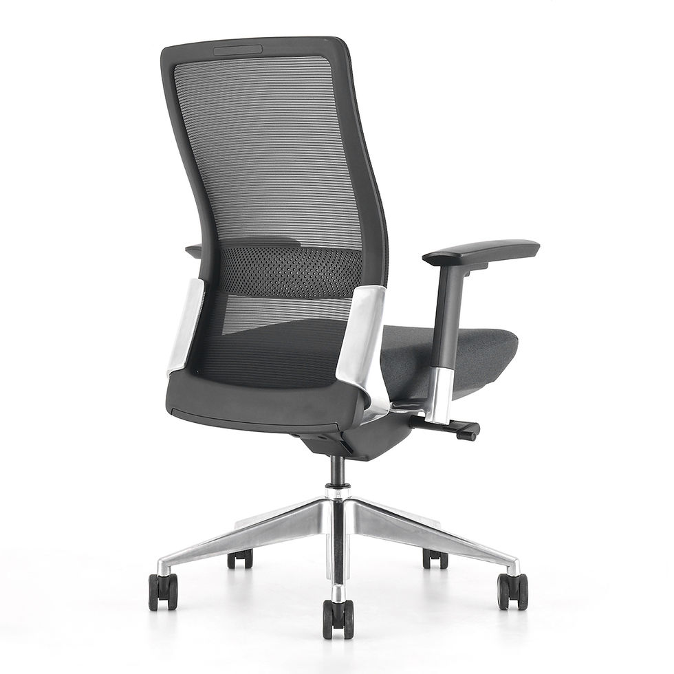 Miniature : Fauteuil Ergonomique