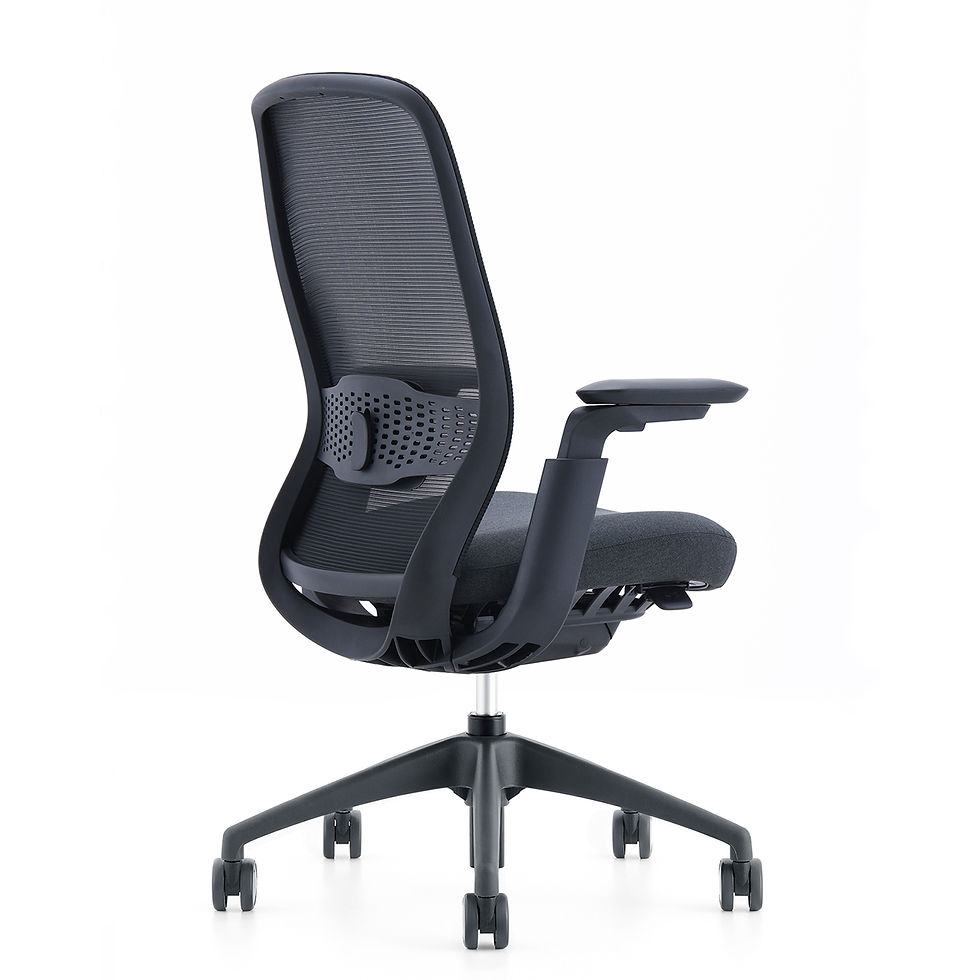 Miniature : Fauteuil Synchrone Iris