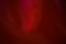 DSC09796.jpg