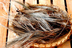 2-Elemtos Cênicos X _MG_9128 (2)