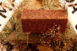 2-Elemtos Cênicos X _MG_9128 (17)