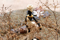 2-Elemtos Cênicos X _MG_9128 (36)