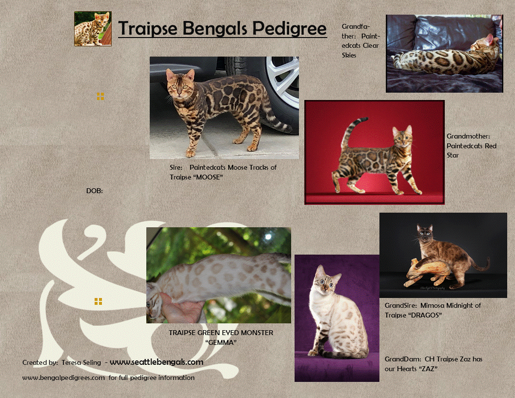 Gemma and Moose - Traipse Picture Pedigree Template