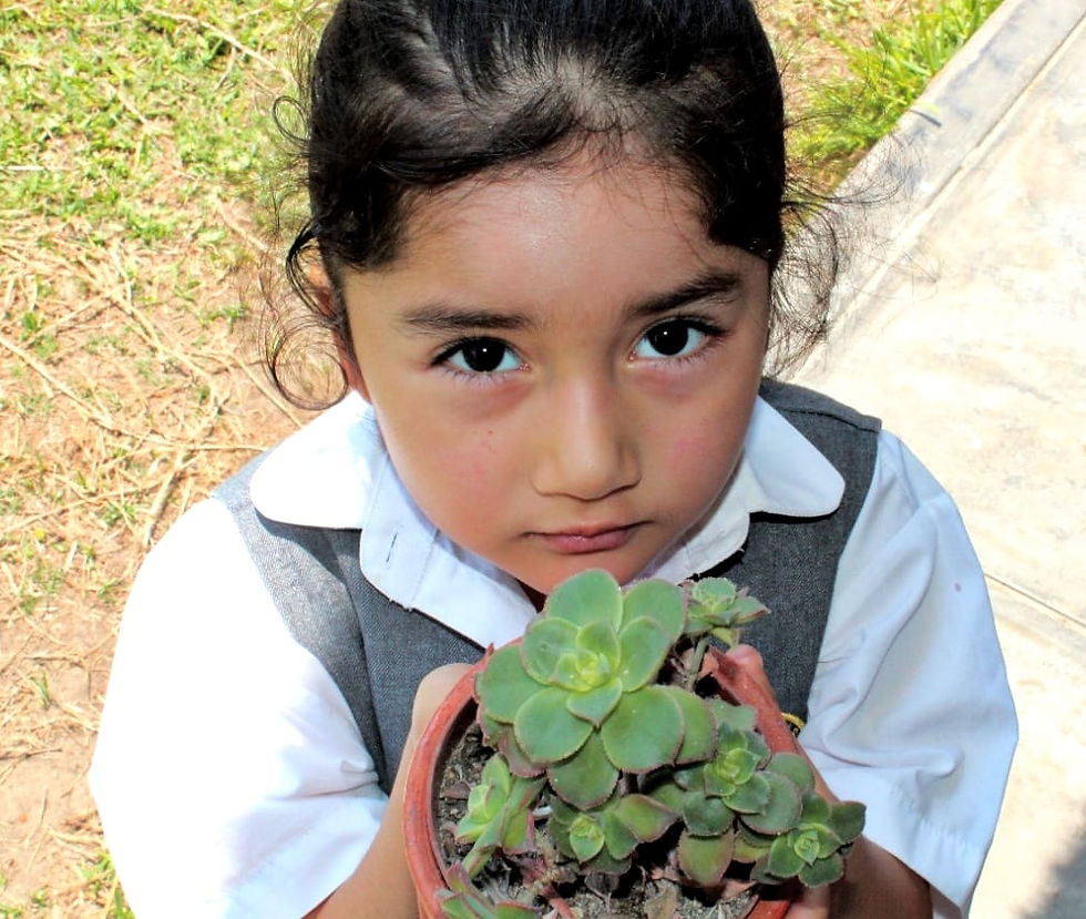Conciencia ecológica_
