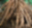 A cosmetic ingredient that is produced through the fermentation of Lactobacillius, a probiotic strain and Asparagus racemosus. Lactobacillus fermentation helps liberate the bioactives compounds creating a bioactive rich solution that has potent anti bacterial, anti-oxidant activity, nutritive besides several health benefits. Lactobacillus has been shown to have a postive effect on the skin and gut microbiome helping maintain healthy skin and gut. The ingredient is fully soluble is water.