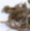A cosmetic ingredient that is produced through the fermentation of Lactobacillius, a probiotic strain and Anacylus pyrethrum. Lactobacillus fermentation helps liberate the bioactives compounds creating a bioactive rich solution that has potent anti bacterial, anti-oxidant activity besides several health benefits. Lactobacillus has been shown to have a postive effect on the skin and gut microbiome helping maintain healthy skin and gut. The ingredient is fully soluble is water.