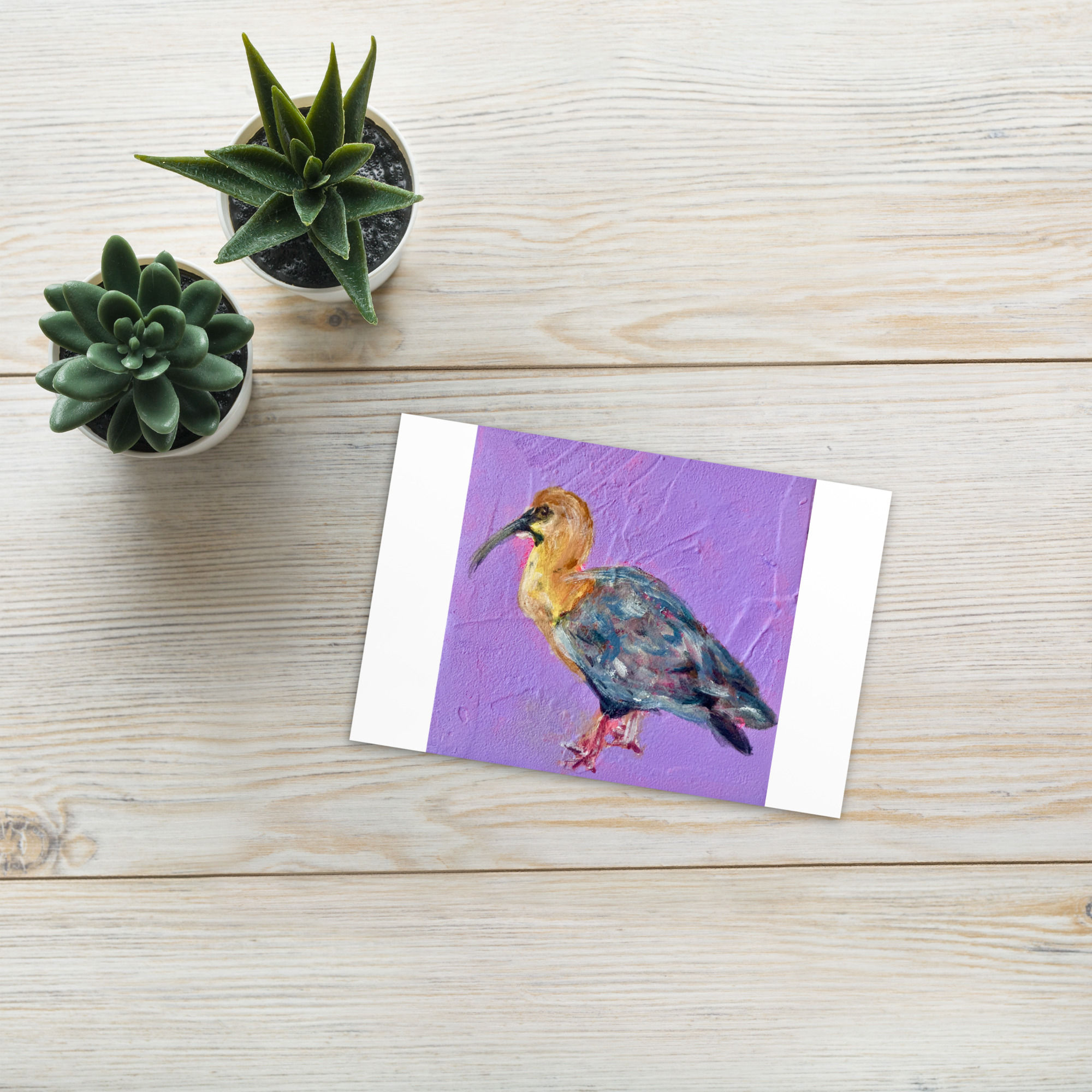 Black-faced Ibis Postcard Print