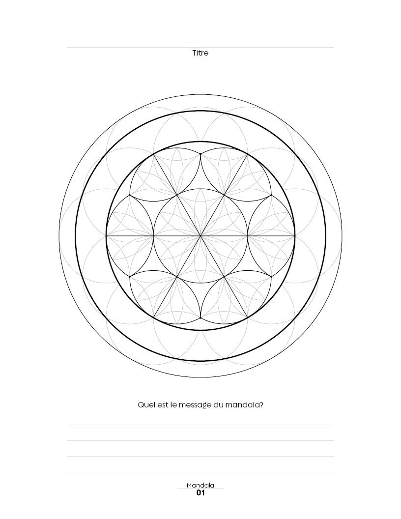 Miniature : Cahier de Mandala "Oeuf de Vie" Tome 2