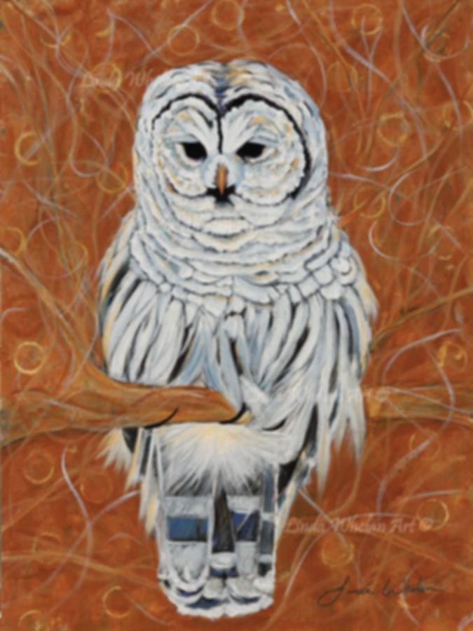 Balanced Owl painting