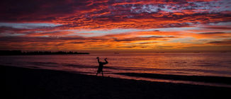 Loving the life we live