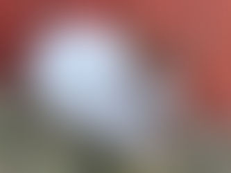 DAGENS NYHETER 18.04.21