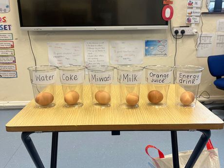 Our Eye-Opening Eggshell Experiment!