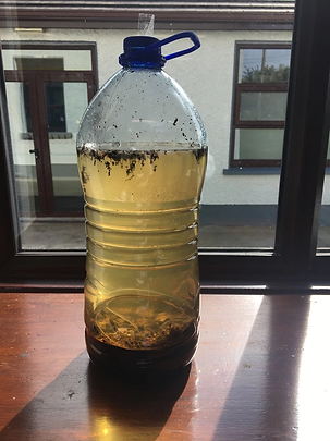 bottle 2.webp