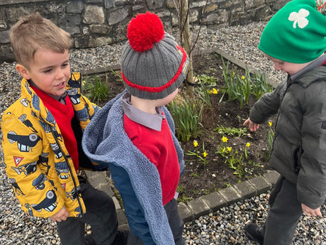 Signs of Spring and New Life