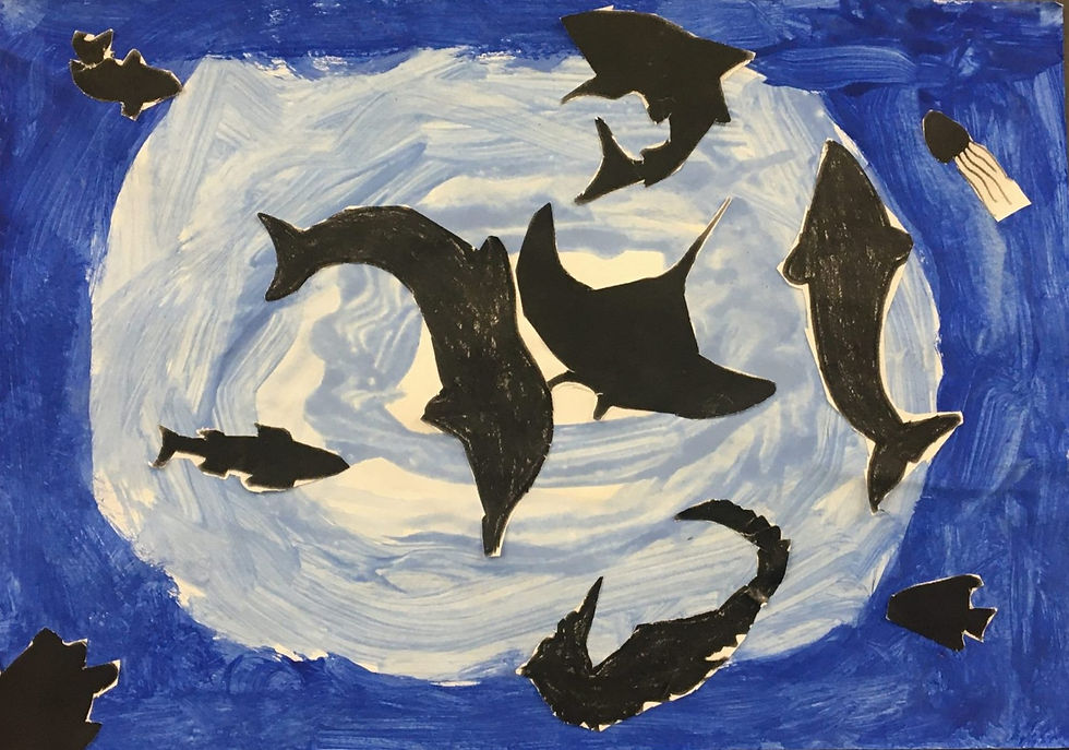 Seakeeper's Project - The Basking Shark