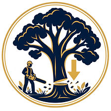 Large-Tree-Removal-PNG_edited_edited.jpg