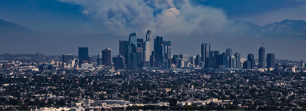 LA WIDLFIRE_edited.png