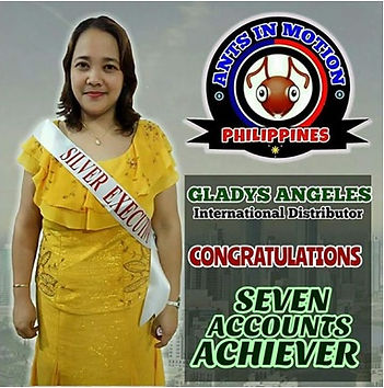 Aim Global Nurse Entrepreneur Silver Executive