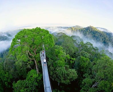 Brunei Art & Nature Tour Package 2017