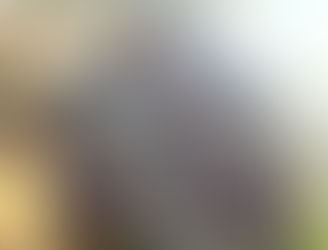 #2: Drawing from Heritage—Why St. Malo Needed to Be Told