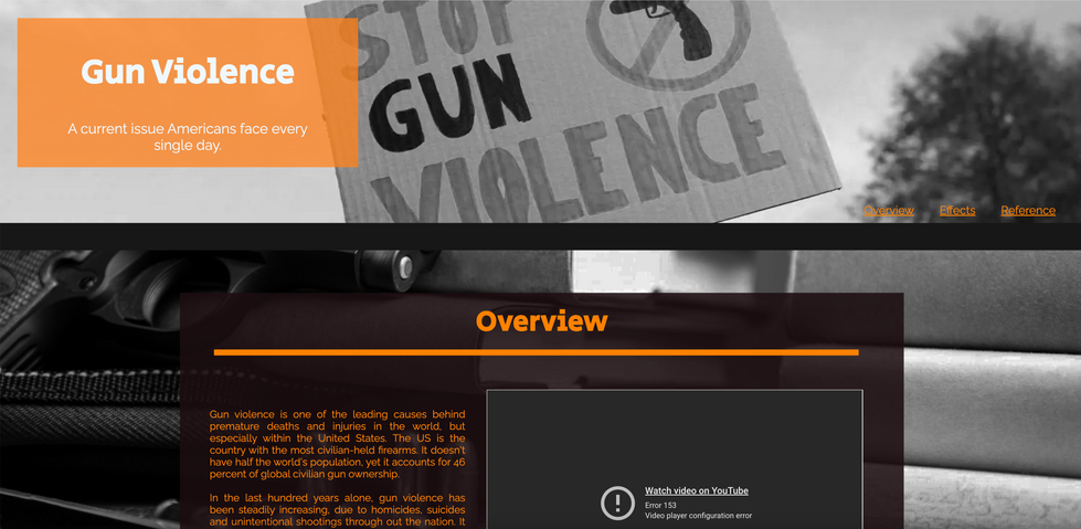 Gun Violence Website