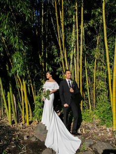 Jaena's wedding in Watters Gown