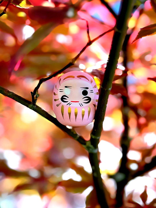 Daruma mini rosa | Feng Dzi