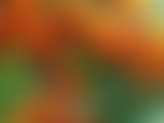 Raforziamo il sistema immunitario dei bambini con Olivello Spinoso e Rosa Canina.