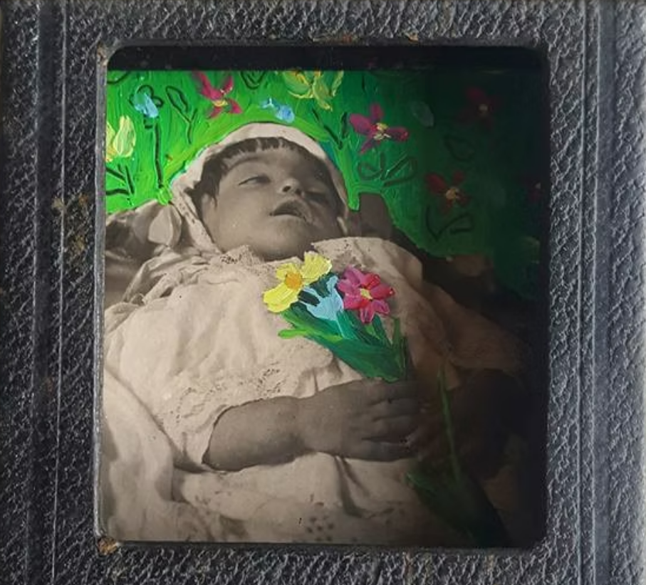 Photos on Kodak plates 