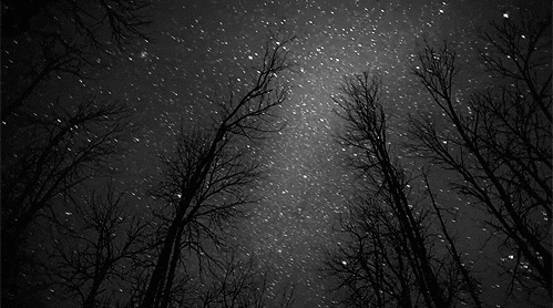 Las Estrellas: Noche