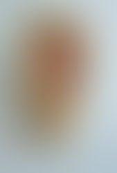 「佐藤 結 個展 −いぶき−」　Yu Sato Exhibition - Breath 