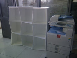 foto moreno y600 9511