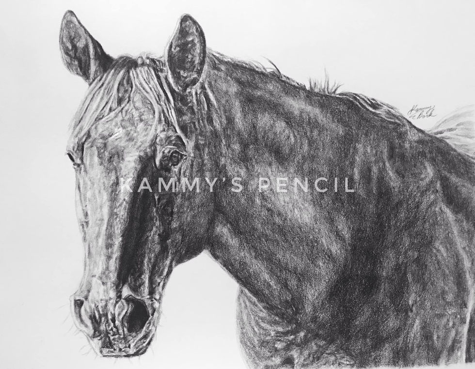 Large Horse Portrait graphite landscape.jpg