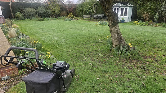 Before & After_Grass Cutting 1.jpeg