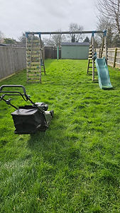 Before & After_Lawn Care 1.jpeg