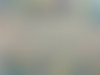 子ども達がよろこんでいてとても良かった