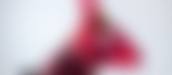 EL CONCEPTO DE AGILIDAD CERRADA EN EL ÁMBITO DE LAS FORMAS DEL WUSHU