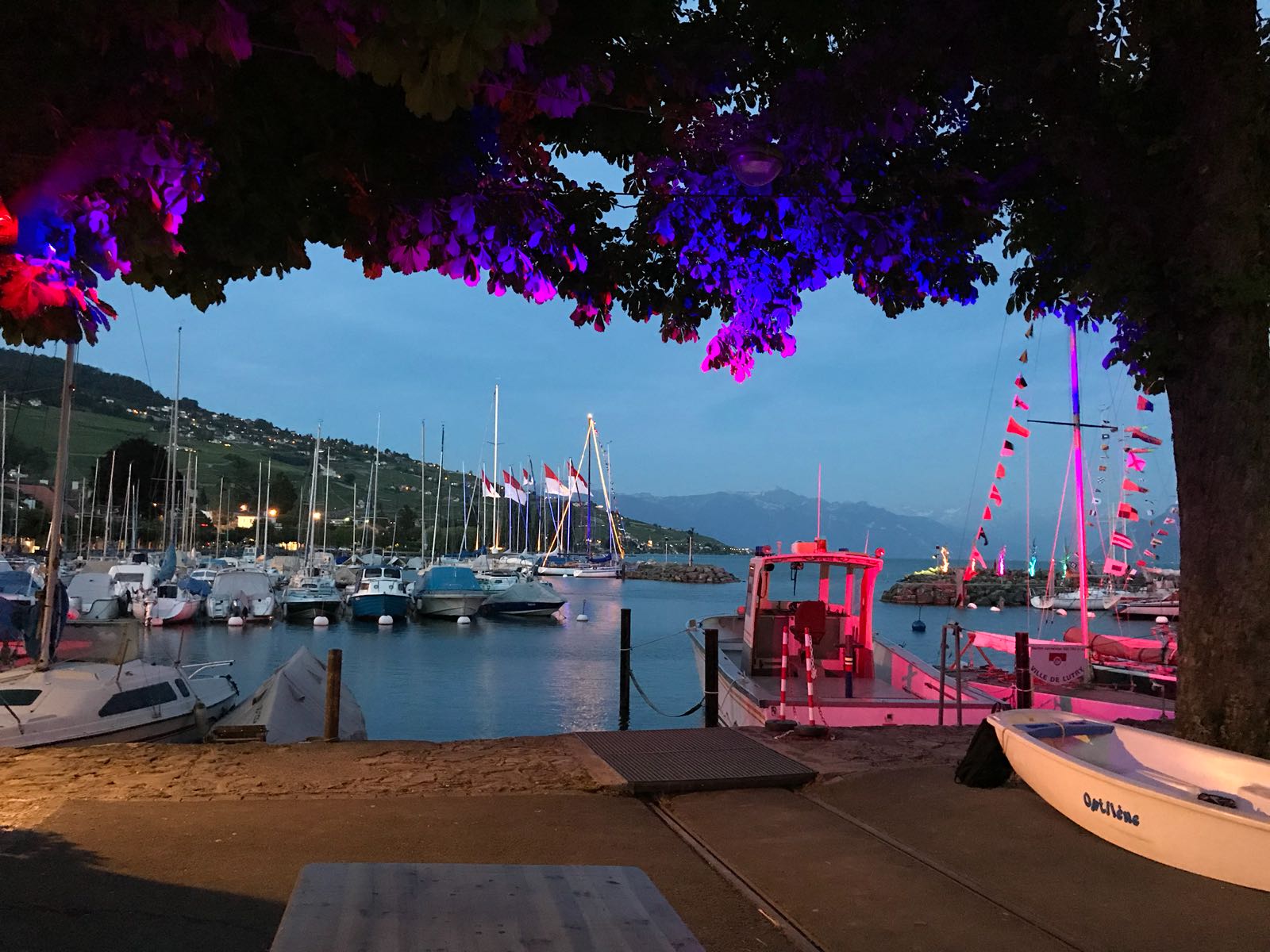 Lutry Ptite semaine voile regate.