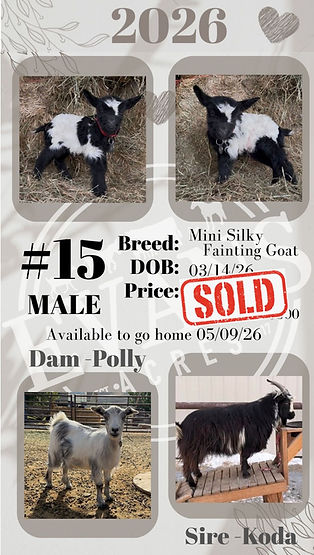 Goats Sold (3).JPEG