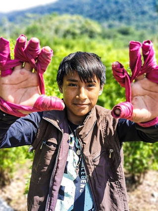 Narcos, coca e bambini soldato